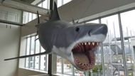 A plastic replica of